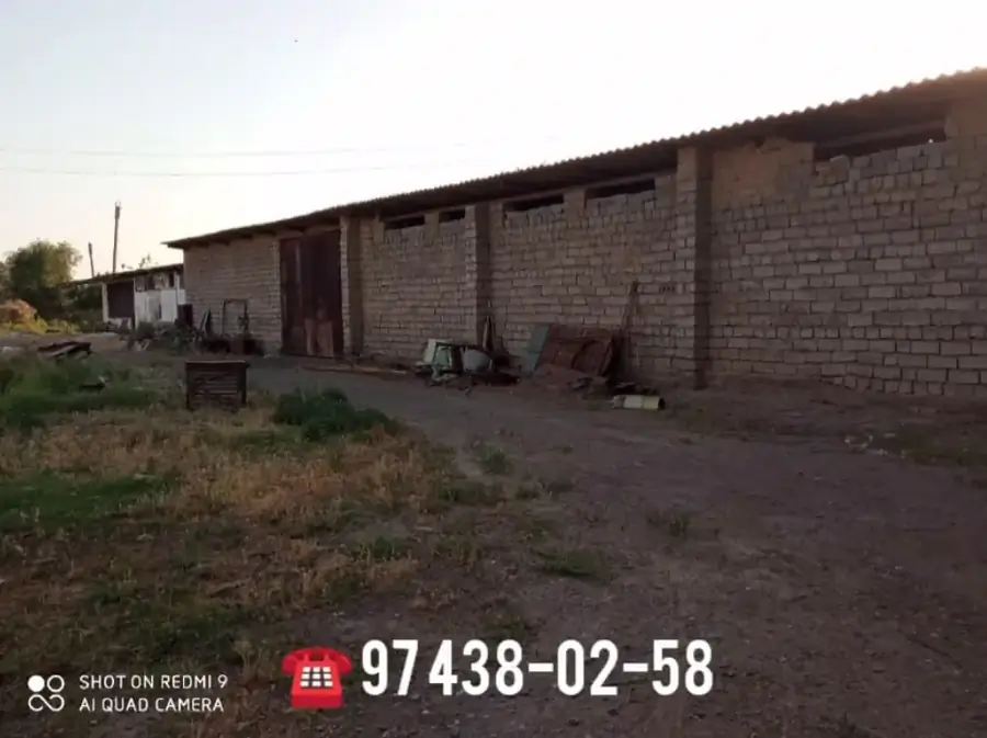 Tijoriy yer maydoni sotiladi − 97 sot
