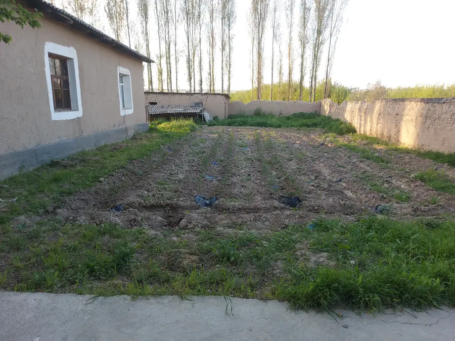 1 qavatli uy sotiladi − 200 m²