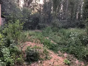 Участок − 3 сот.