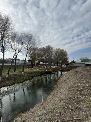 Tijoriy yer maydoni sotiladi − 35 sot