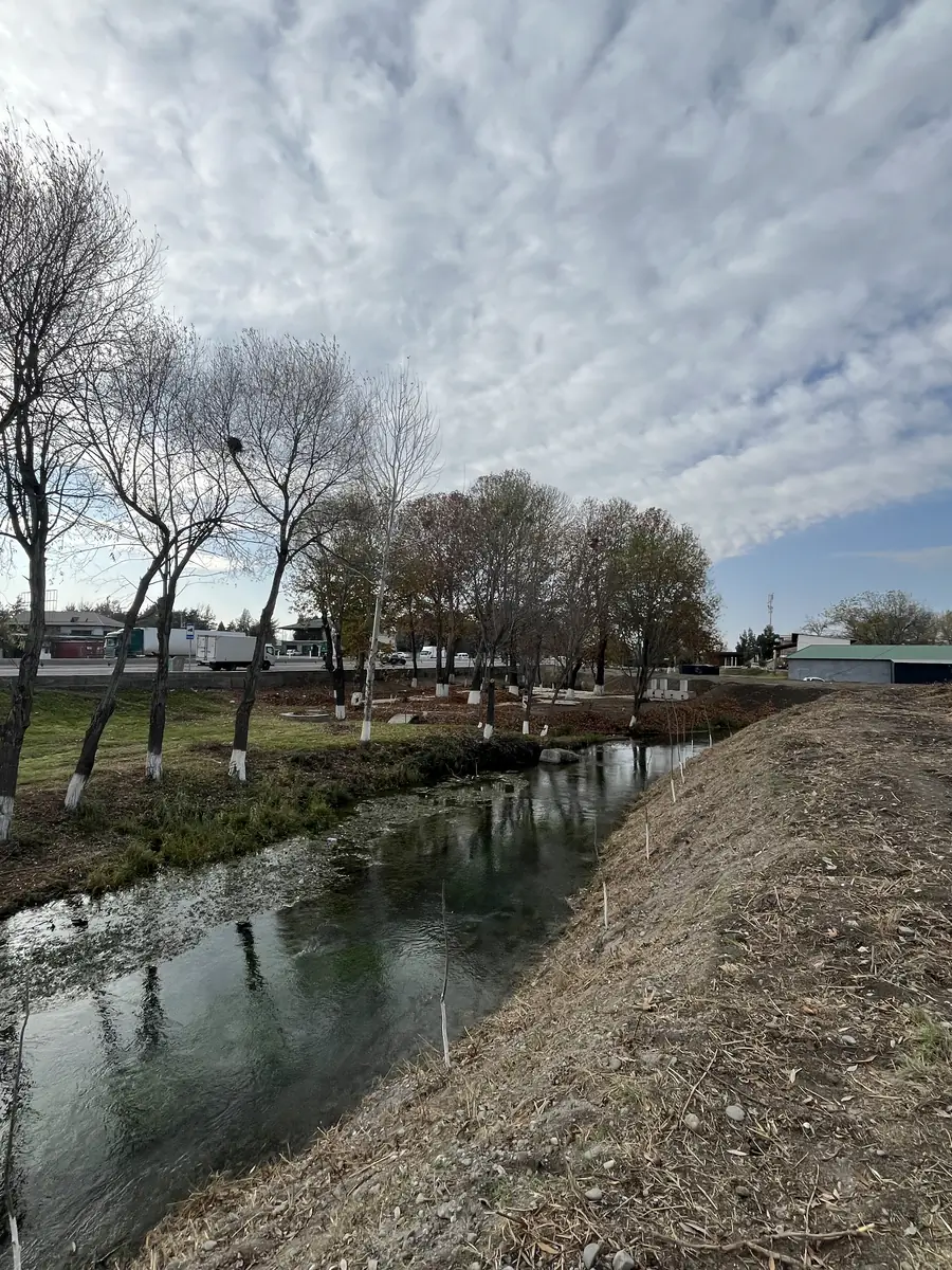 Tijoriy yer maydoni sotiladi − 35 sot