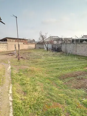 Yer uchastkasi − 9 sot.