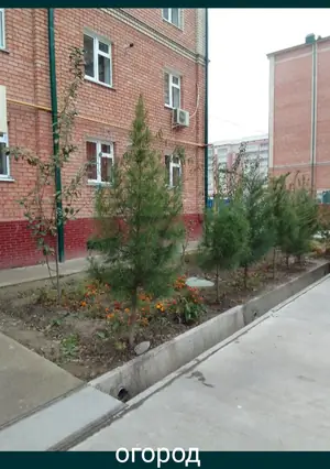 Продается 3-комнатная квартира − 81 м²