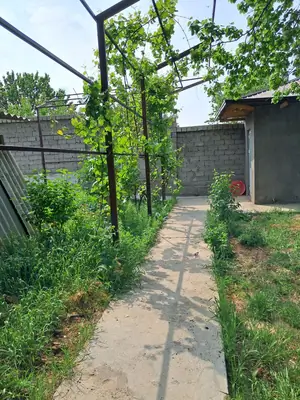 1 qavatli uy sotiladi − 145 m²