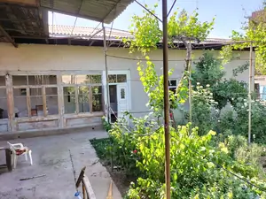 1 qavatli uy sotiladi − 300 m²