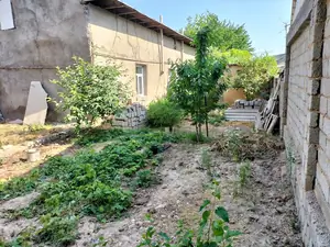 1 qavatli uy sotiladi − 300 m²