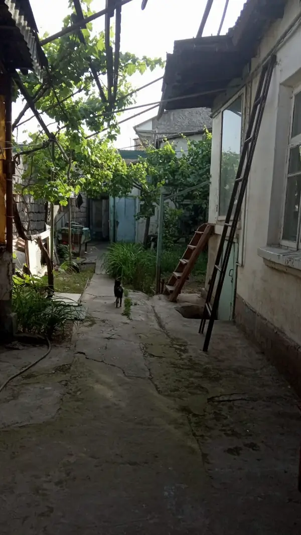 1 qavatli uy − 90 m², 2.1 sot. 