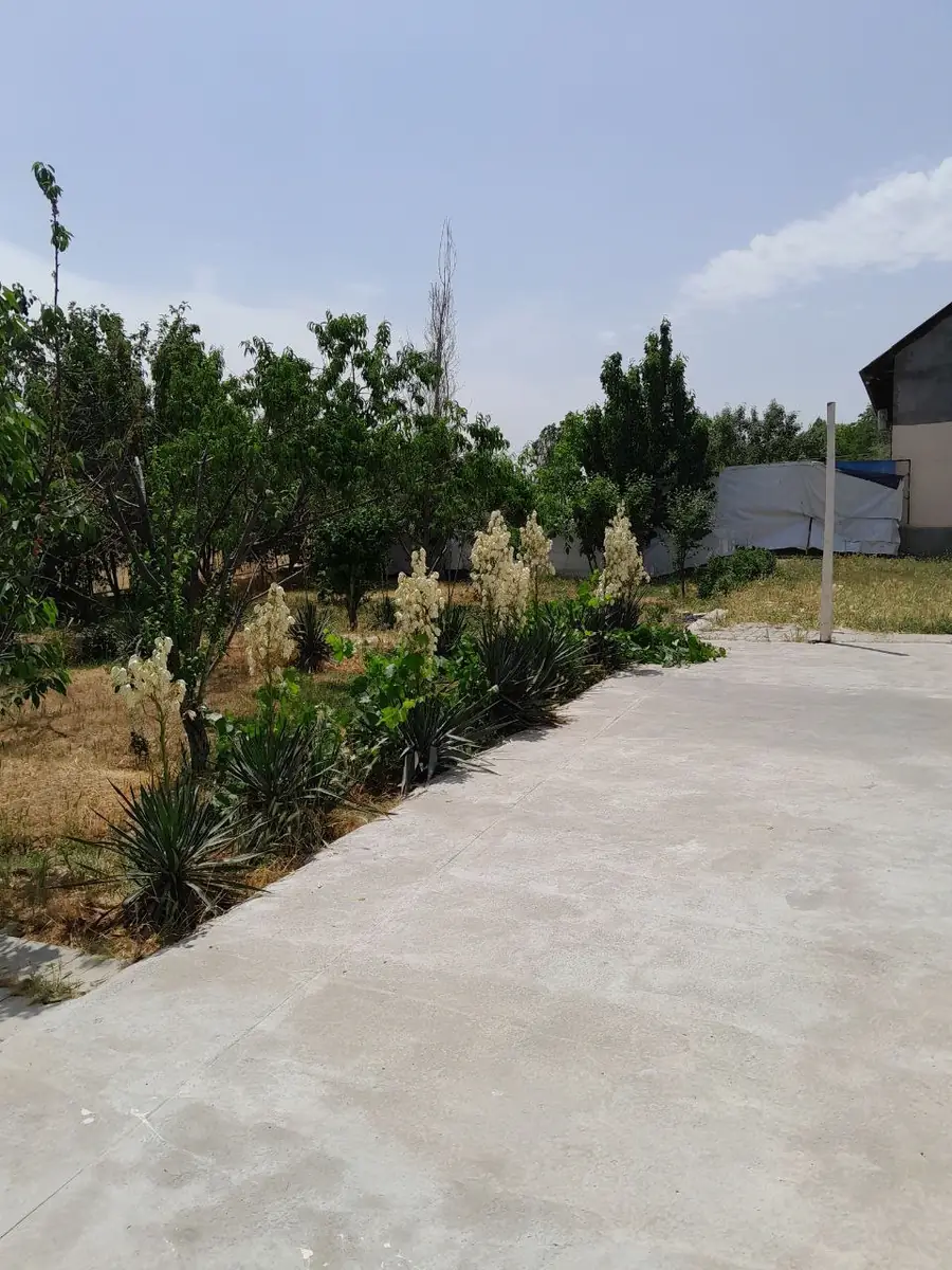 1 qavatli uy sotiladi − 600 m²