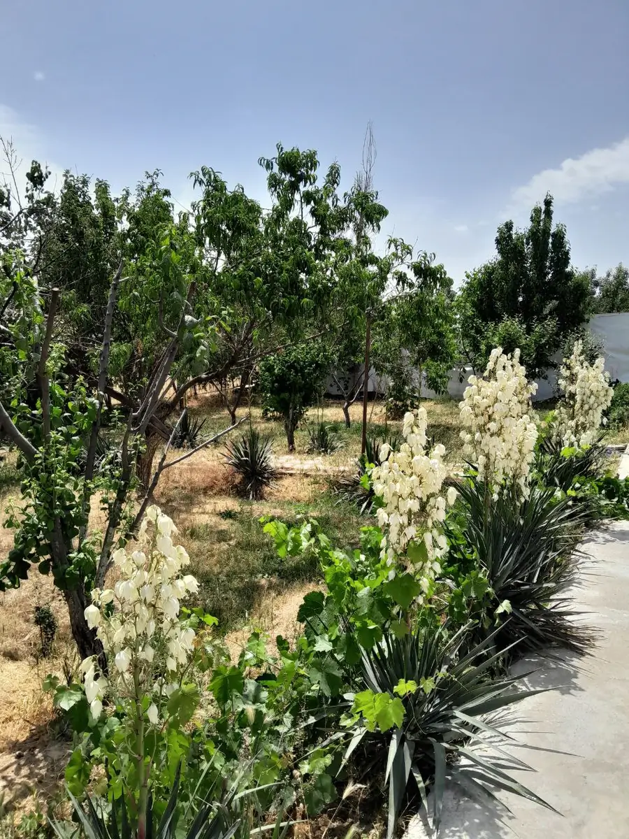 1 qavatli uy sotiladi − 600 m²
