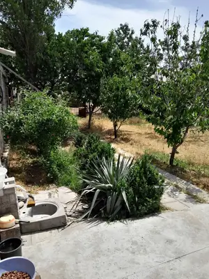1 qavatli uy sotiladi − 600 m²