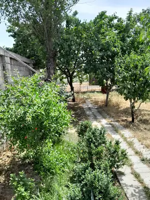 1 qavatli uy sotiladi − 600 m²