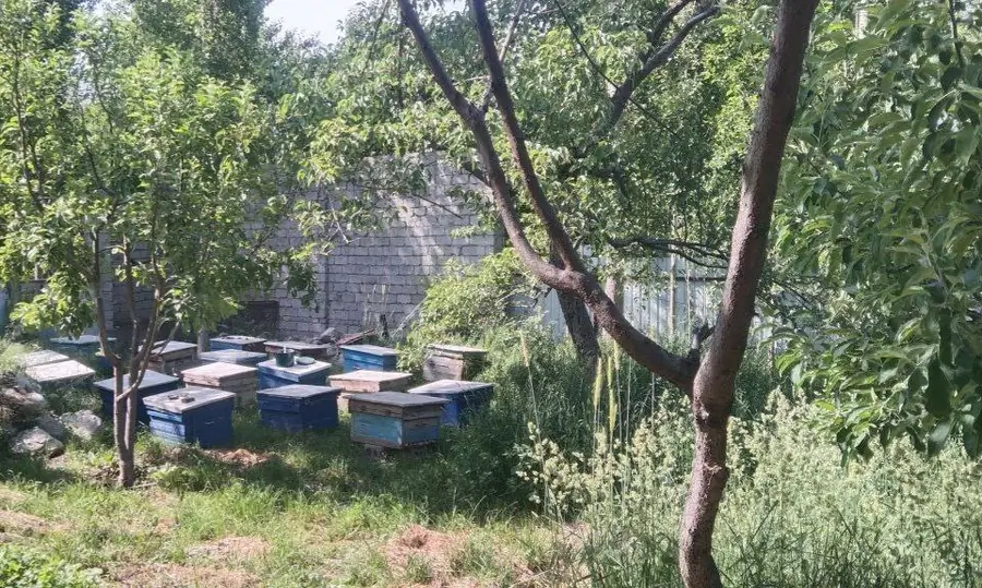 1-этажный дом − 14.6 м², 15 сот.