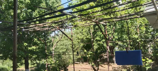 1 qavatli uy − 14.6 m², 15 sot. 