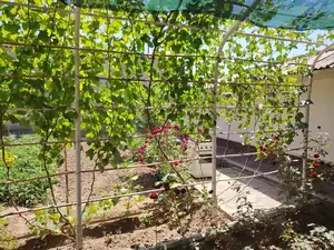 Продается 100% в 1-этажном доме − 400 м²