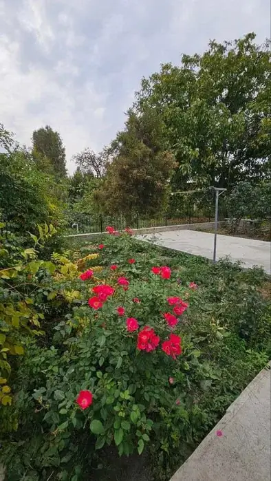 1 qavatli uy sotiladi − 100 m²