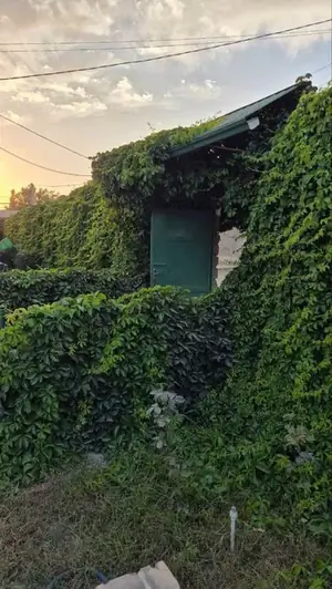 1 qavatli uy − 100 m², 24 sot. 