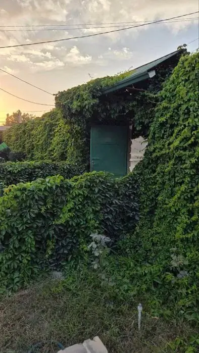 1 qavatli uy − 100 m², 24 sot. 