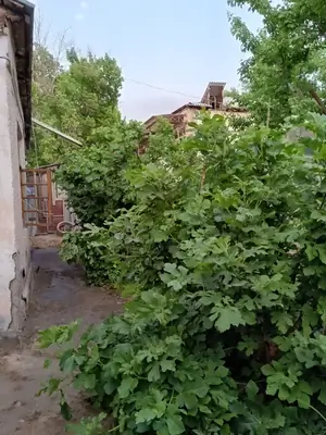 1 qavatli uy − 253 m², 253 sot. 
