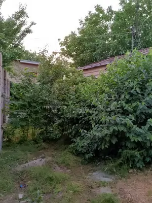 1 qavatli uy sotiladi − 253 m²