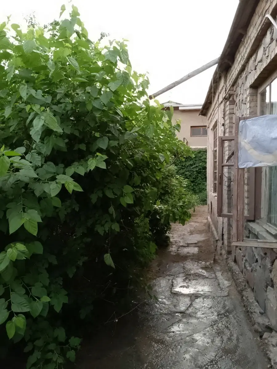 1 qavatli uy sotiladi − 253 m²