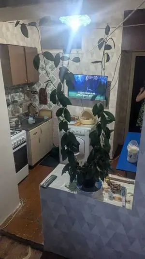 1 xonali kvartira − 43 m², 4/4 qavat