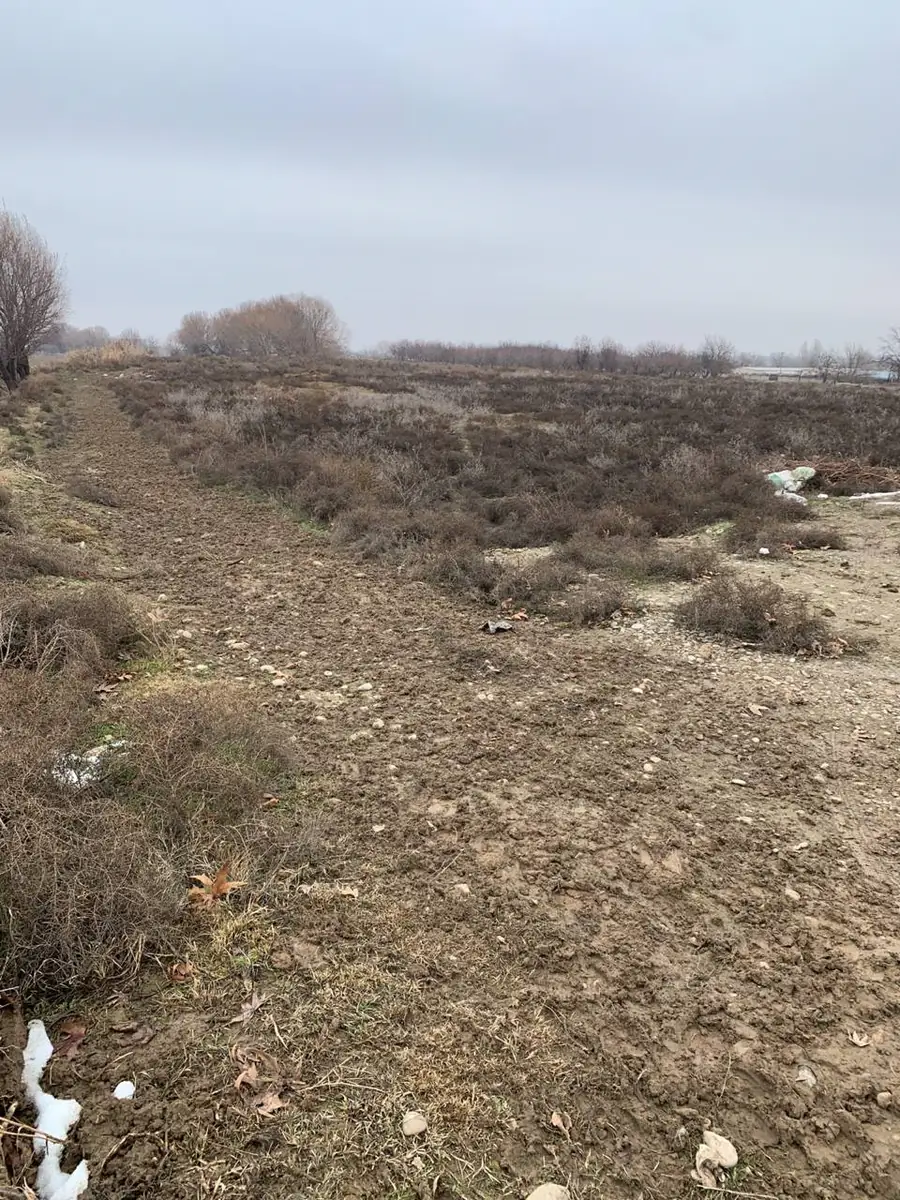 Производство − 99999 м², 1/1 этаж 