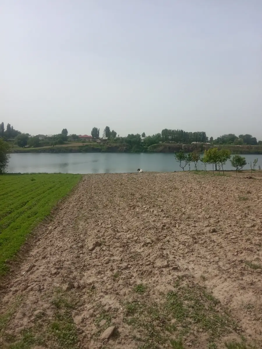 2 qavatli uy − 1000 m², 12 sot. 