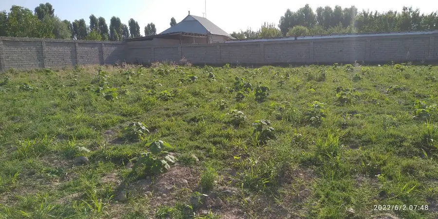 Продается участок − 55 сот.