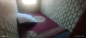 2-комнатная квартира − 50 м², 2/4 этаж