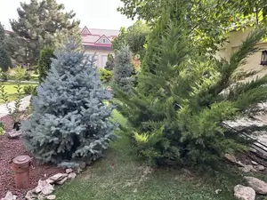 2 qavatli uy sotiladi − 500 m²
