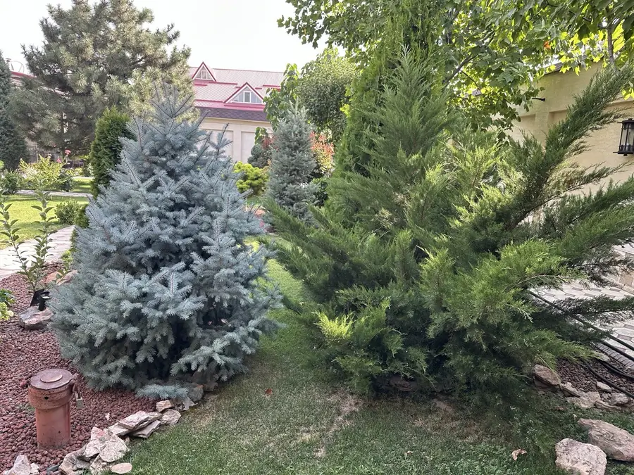 2 qavatli uy sotiladi − 500 m²