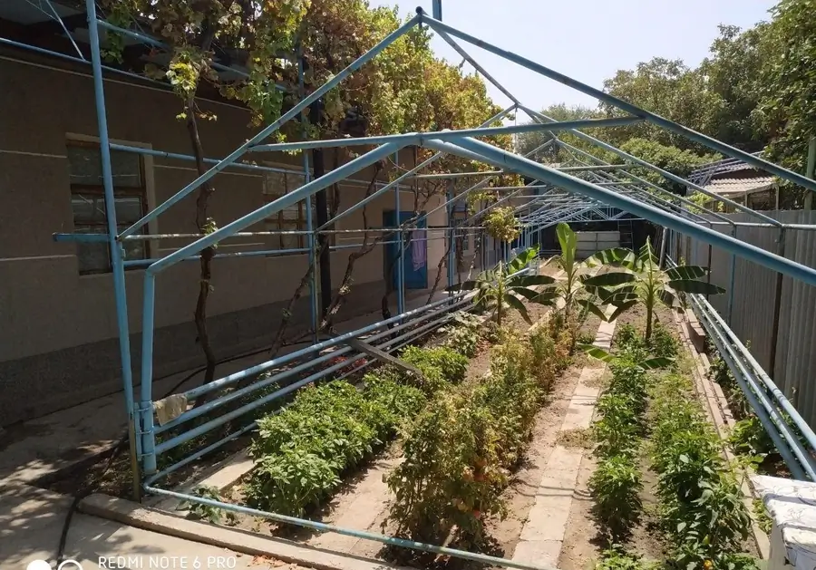 Yer uchastkasi sotiladi − 7 sot.