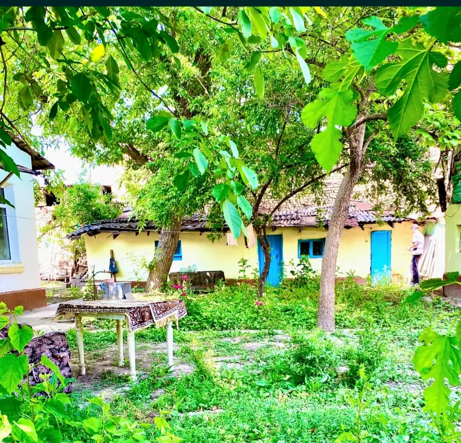 Yer uchastkasi sotiladi − 5.5 sot.