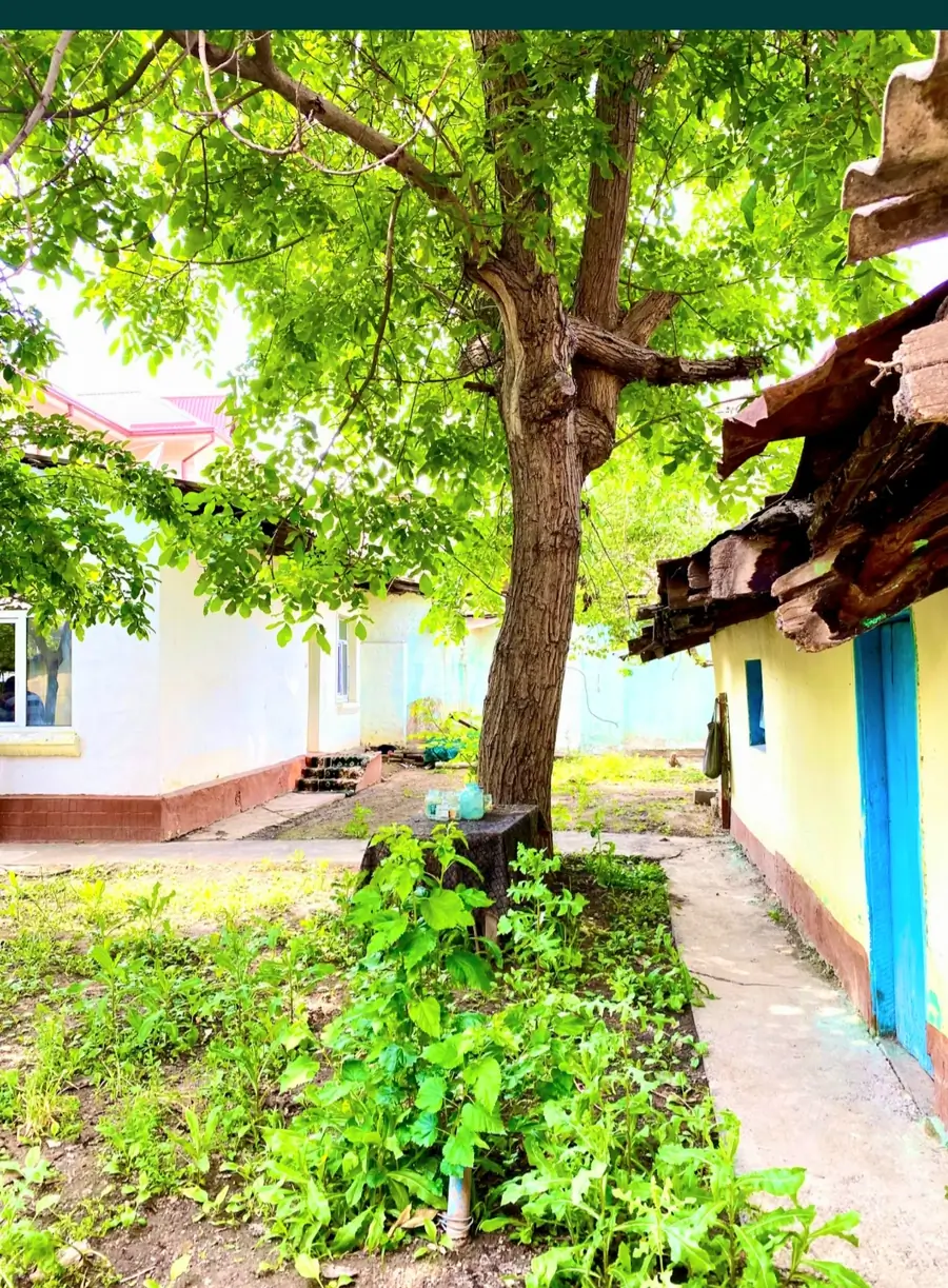 Yer uchastkasi sotiladi − 5.5 sot.