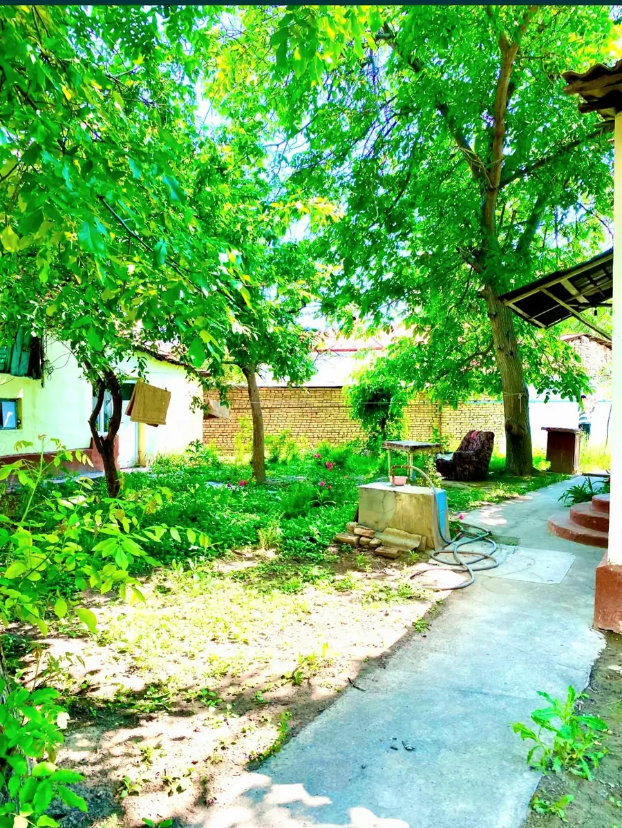 Yer uchastkasi sotiladi − 5.5 sot.