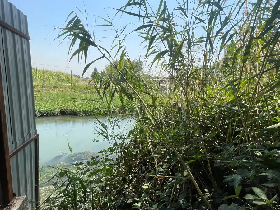 Yer uchastkasi sotiladi − 6 sot.