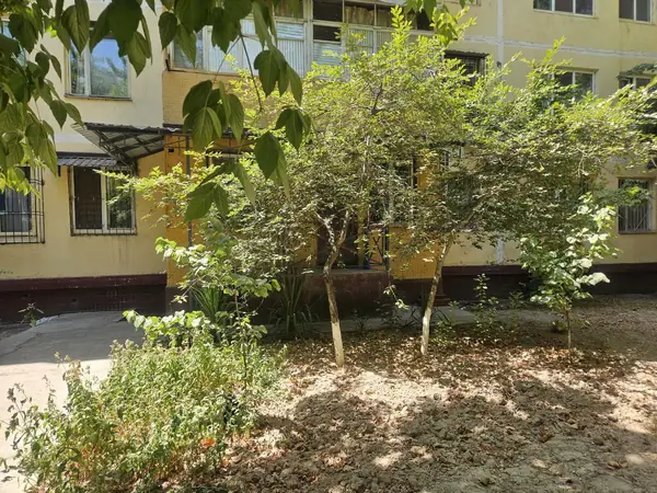 3-комнатная квартира − 50 м², 1/4 этаж
