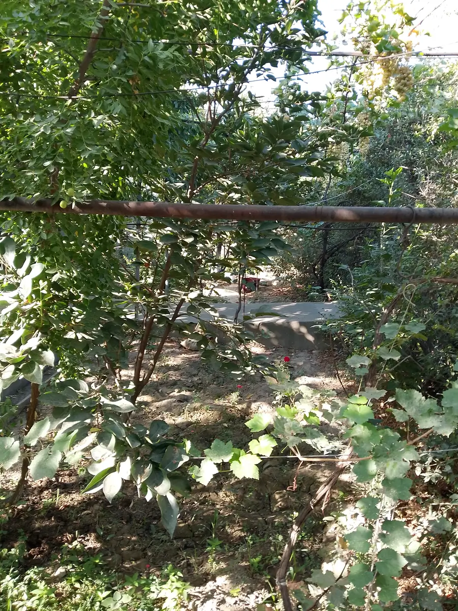 Yer uchastkasi sotiladi − 11 sot.