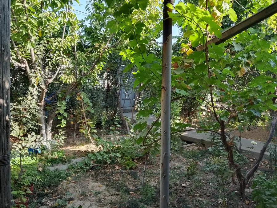 Участок − 11 сот.