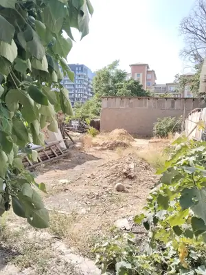 1 qavatli uy − 110 m², 999 sot. 