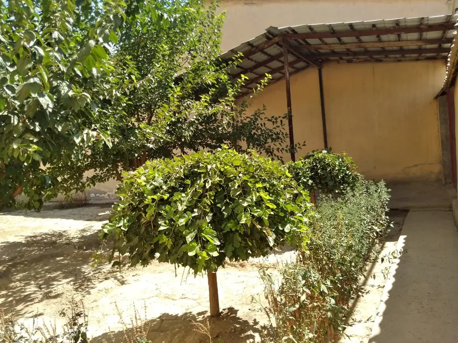 1 qavatli uy − 120 m², 6 sot. 