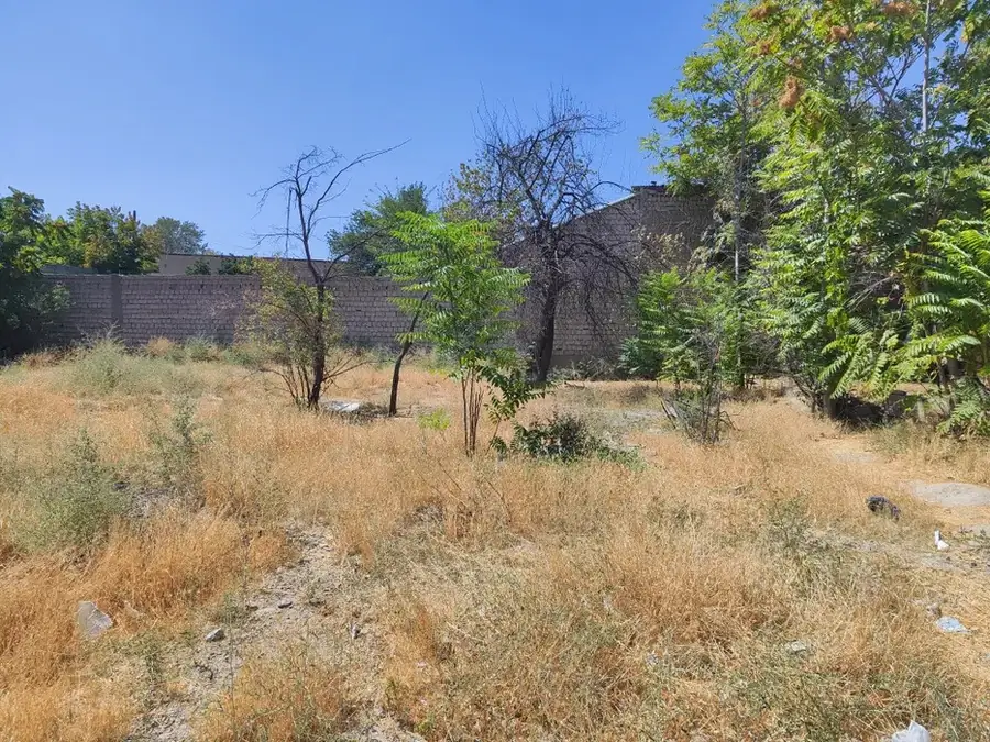 Участок − 10 сот.