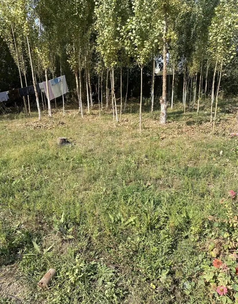 Участок − 8 сот.