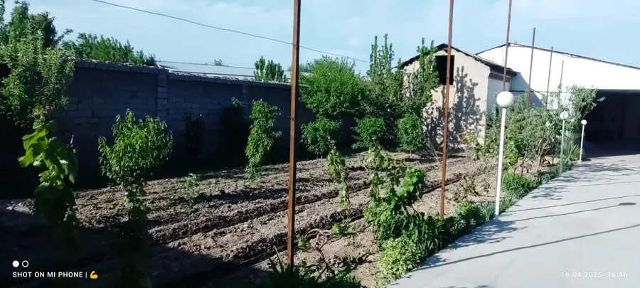 Yer uchastkasi − 20 sot.