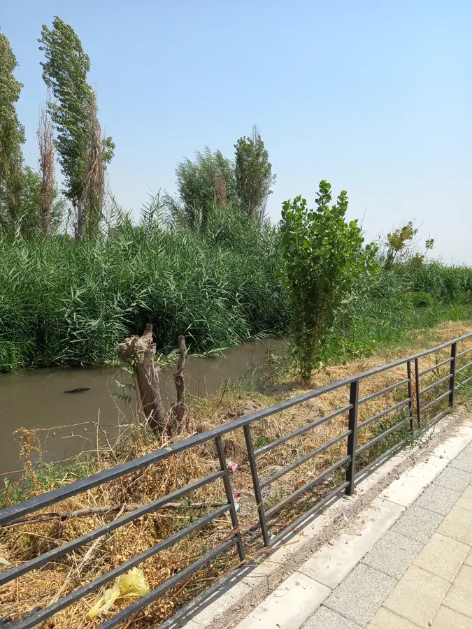 1 qavatli uy sotiladi − 100 m²