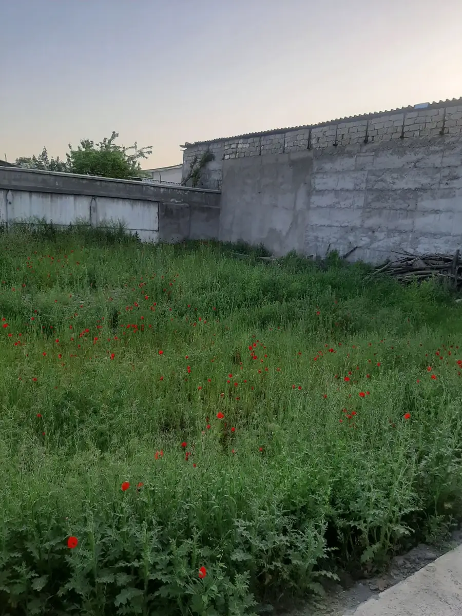 Ishlab chiqarish sotiladi − 137 m² 