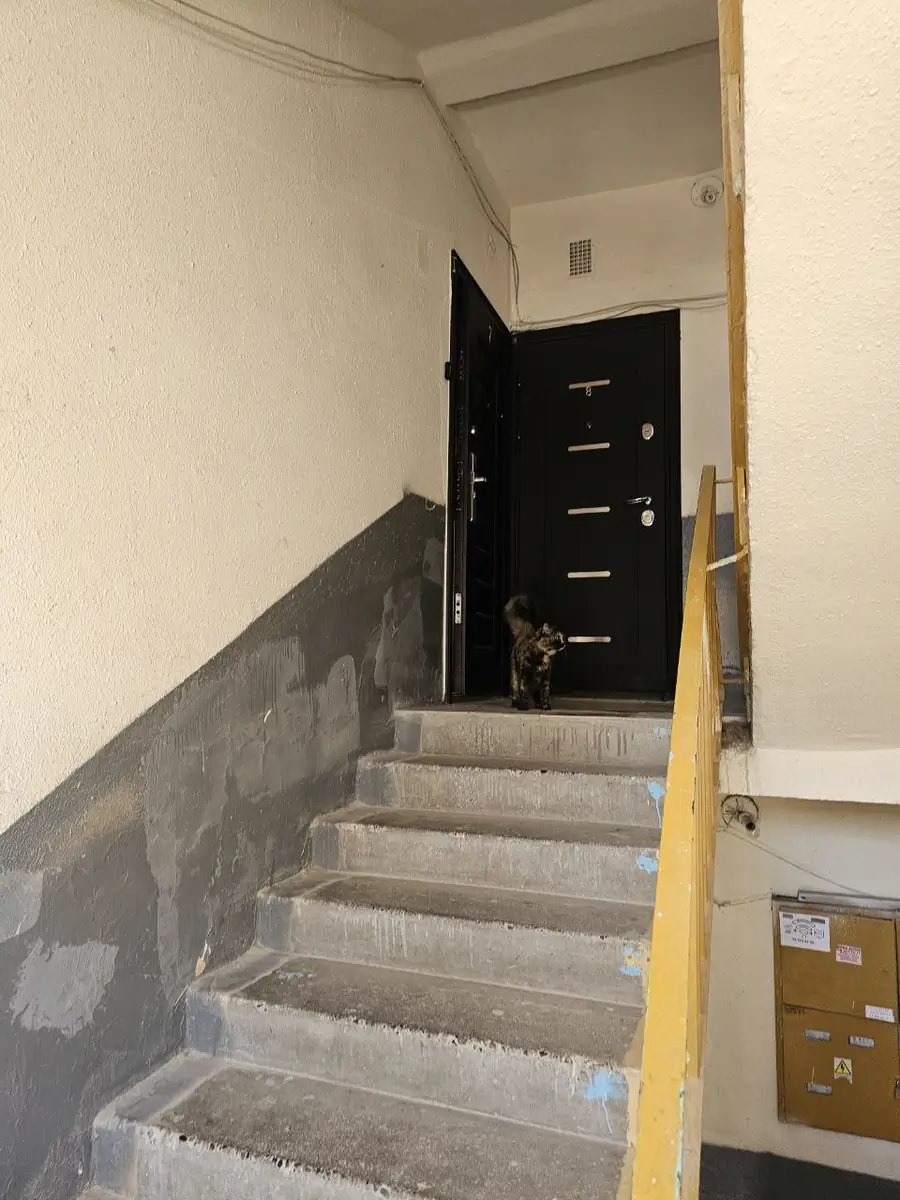 2 xonali kvartira − 44 m², 3/4 qavat