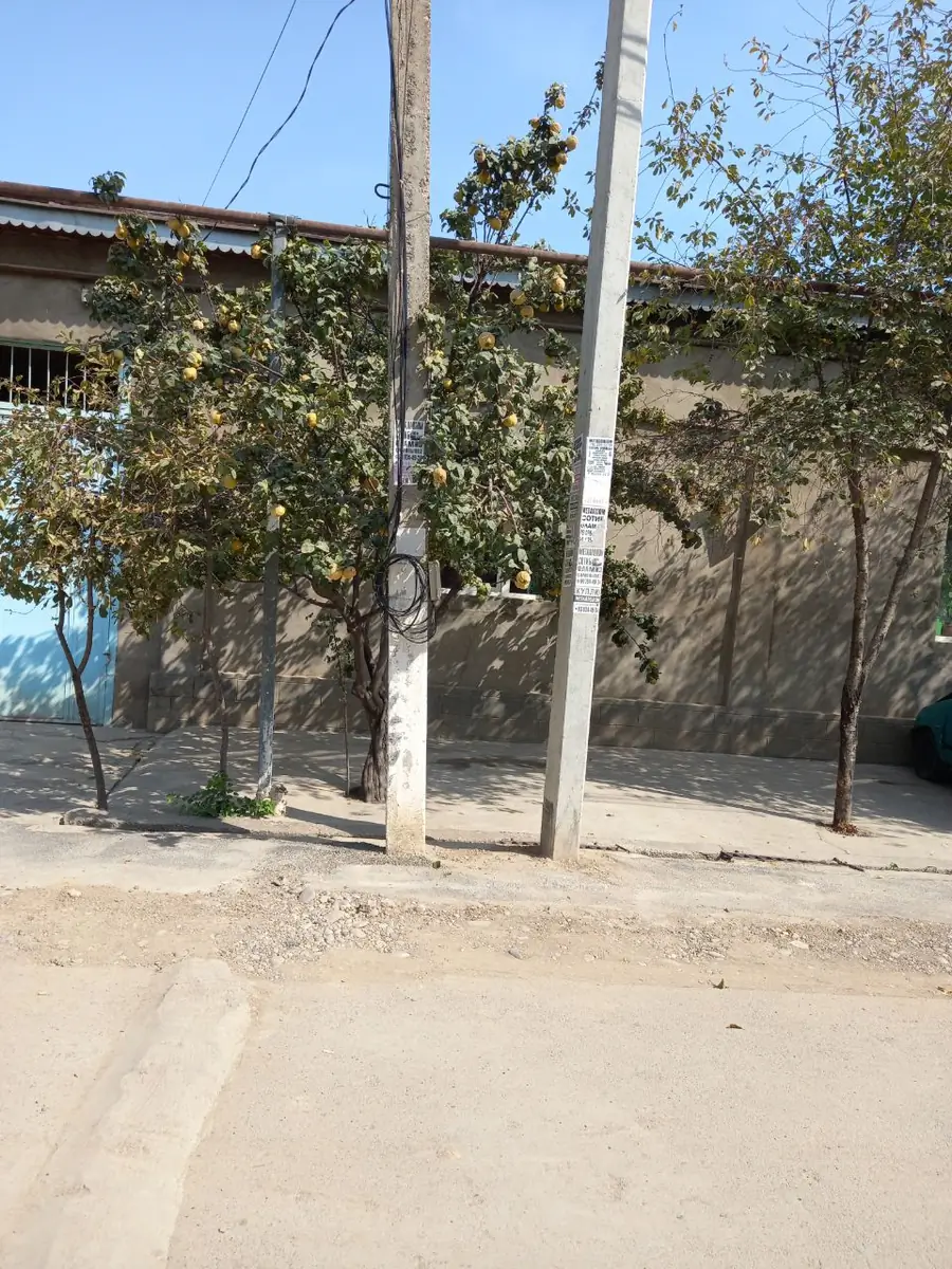 1 qavatli uy − 110 m², 10 sot. 