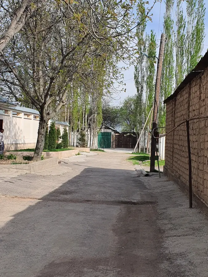 Tolstayaning saunadagi fotosurati Universitetdan Alla bilan jinsiy aloqa