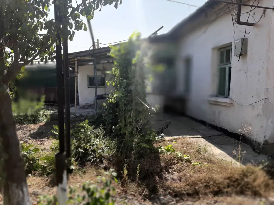 1 qavatli uy − 50 m², 4 sot. 